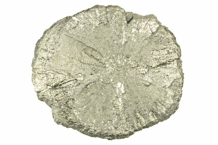 Radiant Pyrite Sun - Sparta, Illinois #342586